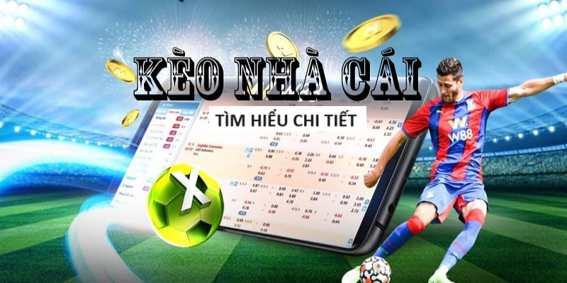 top nhà cái uy tín 🎲game bài đổi thưởng trangbet88